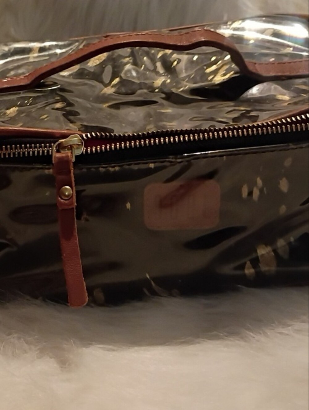 Clear Train Case with Brown Trim and Gold Zipper